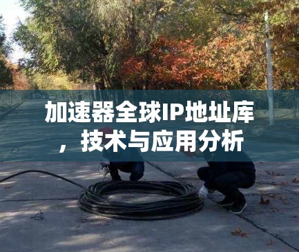 加速器全球IP地址库，技术与应用分析