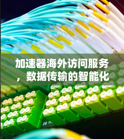 加速器海外访问服务，数据传输的智能化与高效率