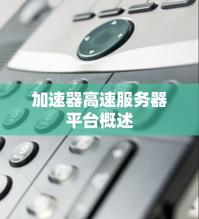 加速器高速服务器平台概述