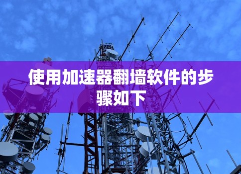 使用加速器翻墙软件的步骤如下