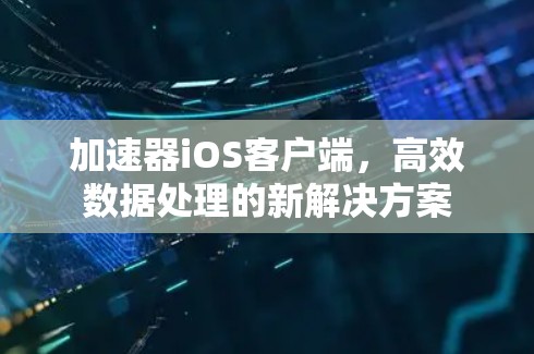 加速器iOS客户端，高效数据处理的新解决方案