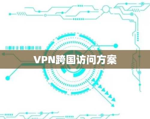 VPN跨国访问方案 VPN跨国访问方案