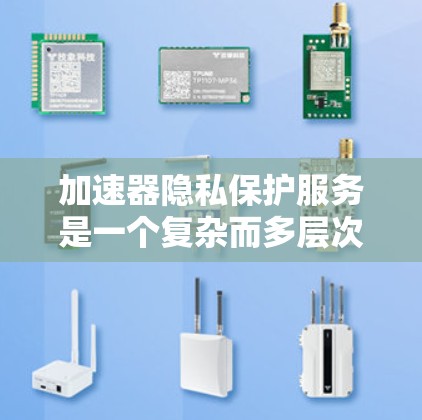 加速器隐私保护服务是一个复杂而多层次的领域，涉及数据安全、隐私保护和高性能计算等多个方面。以下是对该服务的详细分析和总结