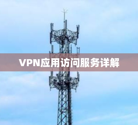 VPN应用访问服务详解