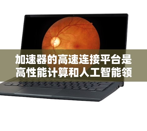 加速器的高速连接平台是高性能计算和人工智能领域中的关键技术,用于实现加速器之间和加速器与其他计算设备之间的快速通信。以下是对这一技术的详细分析 加速器的高速连接平台是高性能计算和人工智能领域中的关键技术,用于实现加速器之间和加速器与其他计算设备之间的快速通信。以下是对这一技术的详细分析