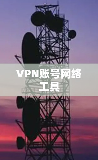 VPN账号网络工具
