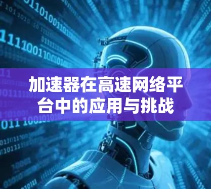 加速器在高速网络平台中的应用与挑战