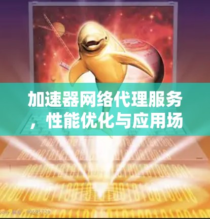 加速器网络代理服务，性能优化与应用场景分析