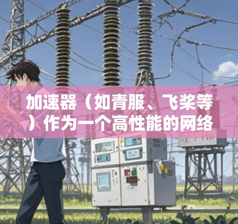 加速器（如青服、飞桨等）作为一个高性能的网络加速工具，在外网访问内部资源时，可以通过多种方式实现。以下是一些常用的方法和步骤，帮助你实现加速器外网访问