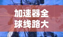 加速器全球线路大全