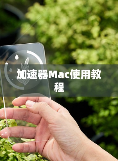 加速器Mac使用教程