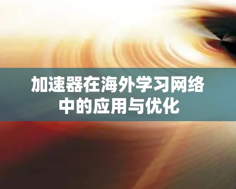 加速器在海外学习网络中的应用与优化