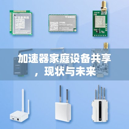 加速器家庭设备共享，现状与未来