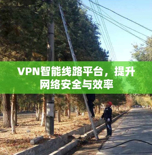 VPN智能线路平台，提升网络安全与效率
