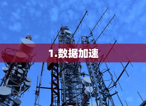 1.数据加速
