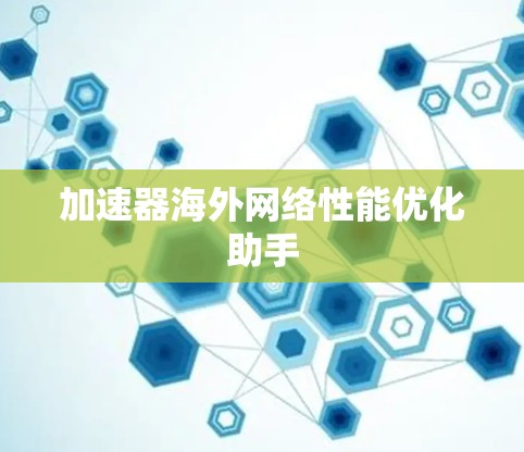 加速器<strong>海外网络</strong>性能优化助手