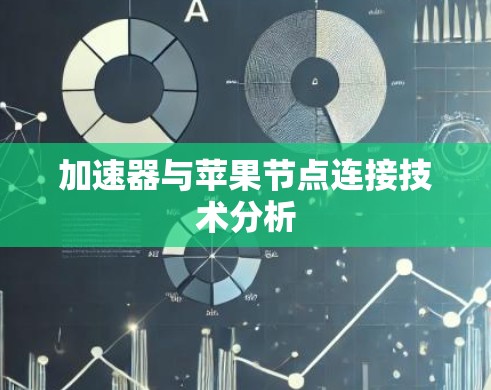 加速器与苹果节点连接技术分析 加速器与苹果节点连接技术分析
