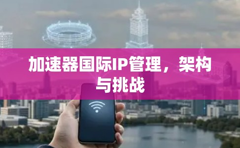 加速器国际IP管理，架构与挑战