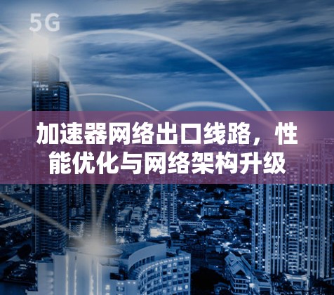 加速器网络出口线路，性能优化与网络架构升级