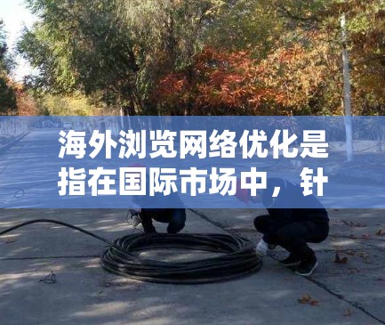 海外浏览网络优化是指在国际市场中,针对用户访问、数据传输和网络服务等方面进行的优化工作,旨在提升用户体验、提高访问速度、确保网络安全,并满足国际市场的特殊需求。以下是一些关键的优化策略和建议 海外浏览网络优化是指在国际市场中,针对用户访问、数据传输和网络服务等方面进行的优化工作,旨在提升用户体验、提高访问速度、确保网络安全,并满足国际市场的特殊需求。以下是一些关键的优化策略和建议