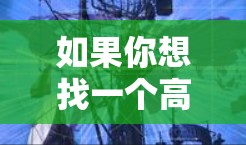 如果你想找一个高质量的VPN服务，以下是一些真实测评和推荐，帮助你选择最适合的VPN