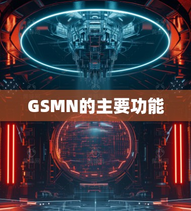 GSMN的主要功能