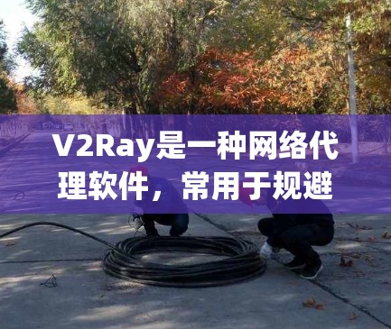 V2Ray是一种网络代理软件，常用于规避网络封锁和访问外部网站。以下是搭建V2Ray服务器的基本步骤，适用于Linux系统（以Ubuntu为例）