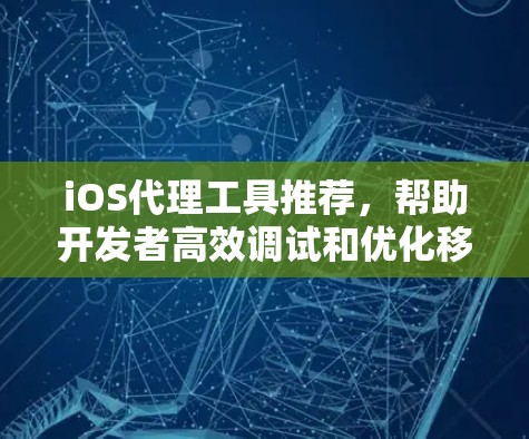 iOS代理工具推荐，帮助开发者高效调试和优化移动应用