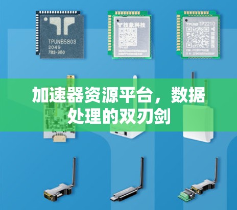加速器资源平台，数据处理的双刃剑