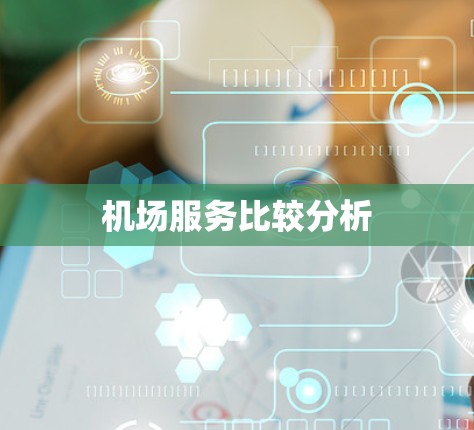 机场服务比较分析