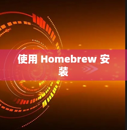 使用 Homebrew 安装 使用 Homebrew 安装