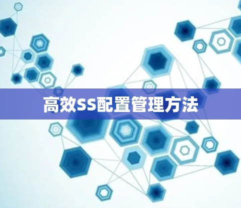 高效SS配置管理方法
