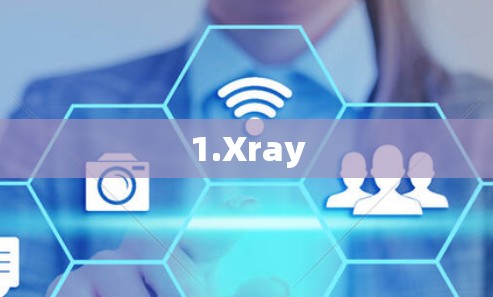 1.Xray